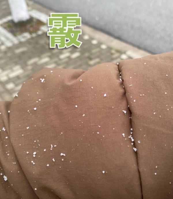 “头皮雪”又来了，上海人拍照的统一姿势亮了