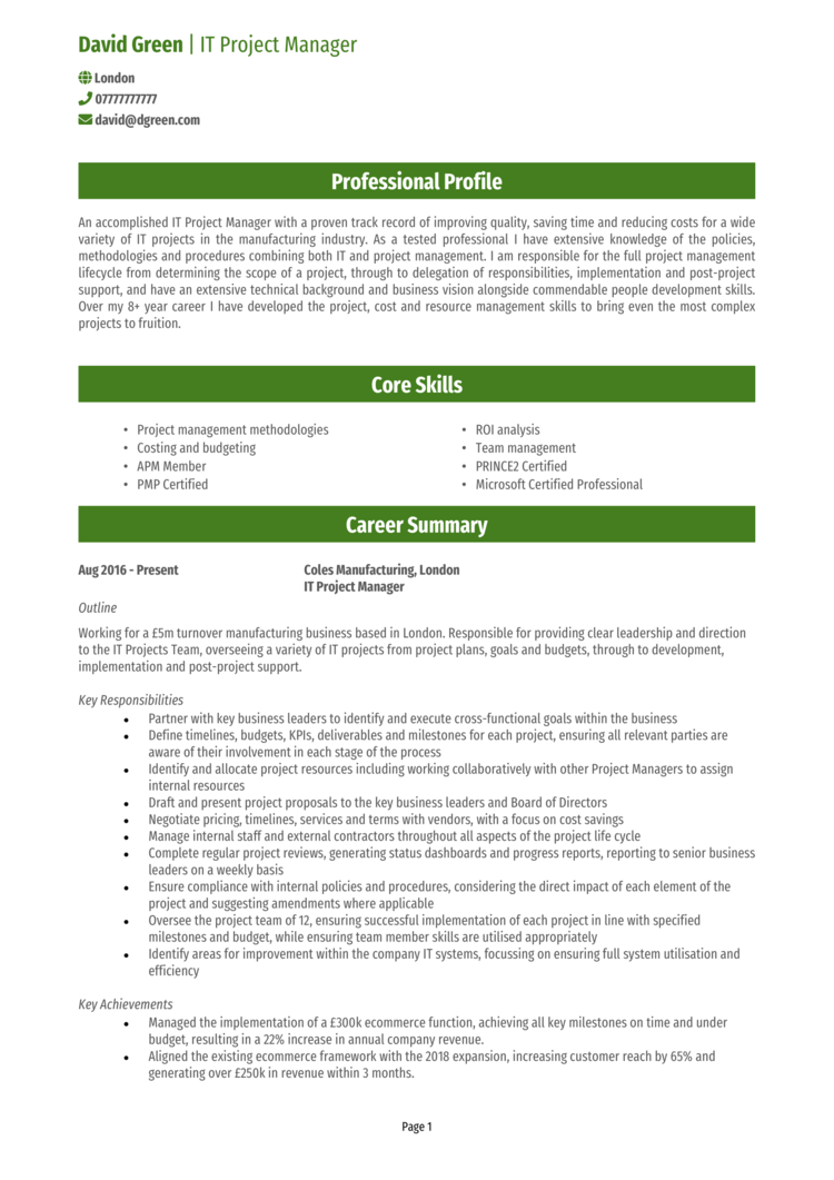 IT Project Manager CV-1