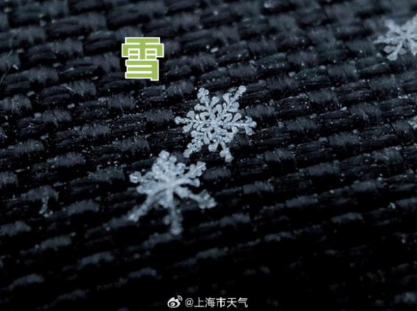 “头皮雪”又来了，上海人拍照的统一姿势亮了