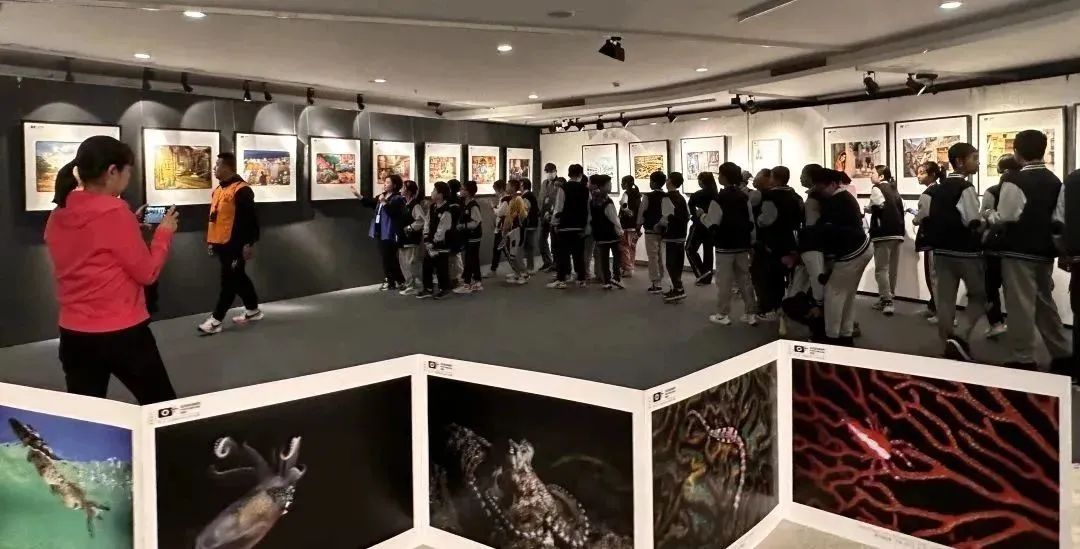 “观”十国摄影组织主席作品联展 一带一路“品”文化风情