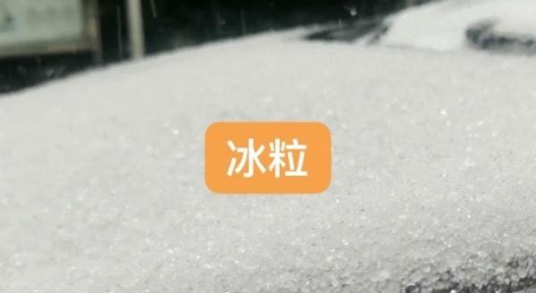 “头皮雪”又来了，上海人拍照的统一姿势亮了